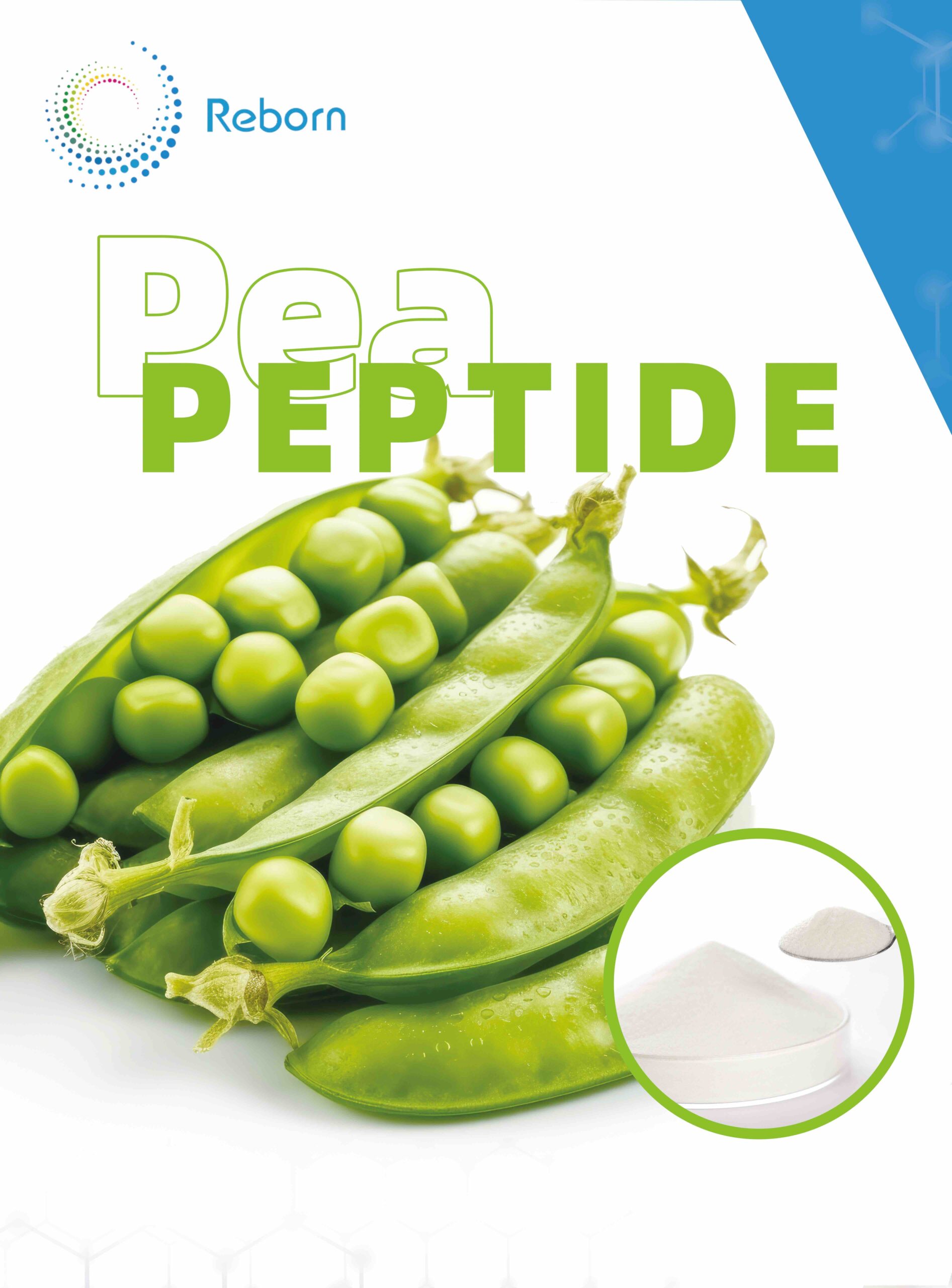 pea protein peptide