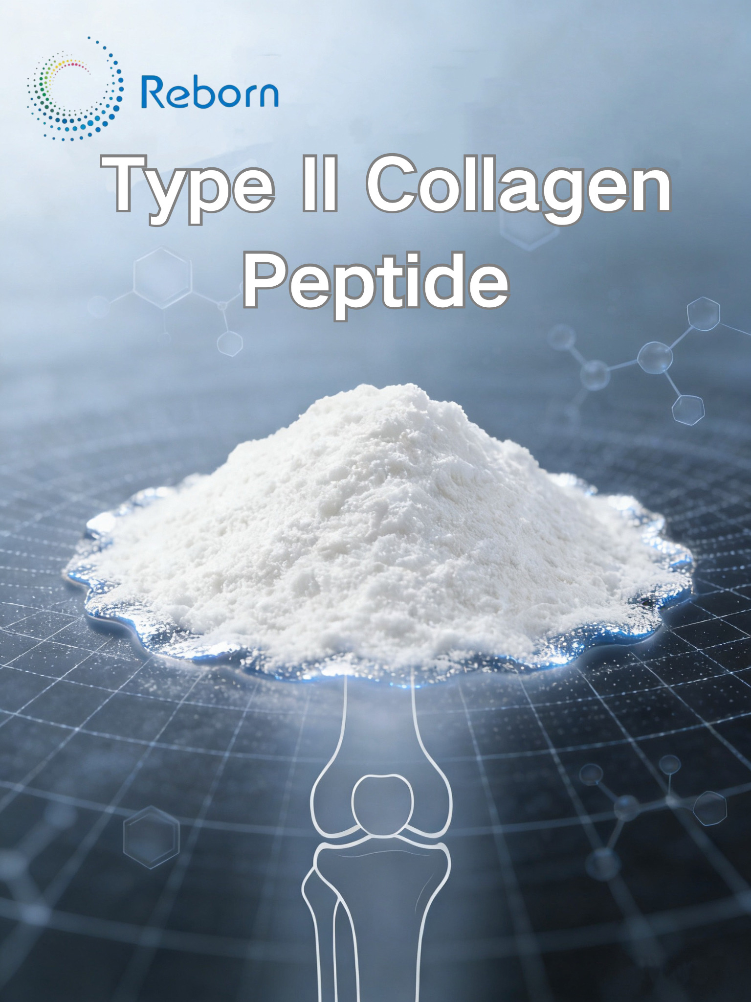 type Ⅱ collagen peptide